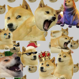 King doge gaming group hang out