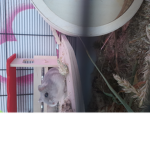 Hallo ich bin jerry