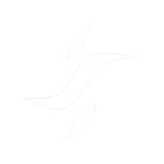 Erketu