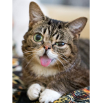this is how I feel