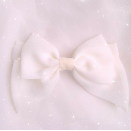✧･ﾟ: *✧･ﾟ:*