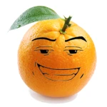 Orange Haven Group Thumbnail