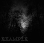 ExampleⅫ