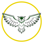 Polar Owl Studio