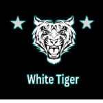 white tigers TS