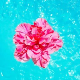 ❀🌺