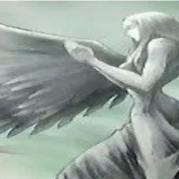 ╔——— ᴄʟᴀʀᴇ ———╝