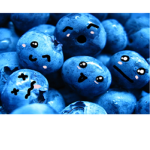 The Blueberries Only Squad!