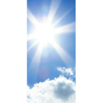 Sunshine'ss