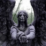 DIVINE://COUNCIL