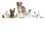 Pet pals