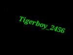 Tigerboy_2456