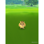 Pokémon days
