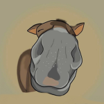 Equine UGC