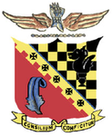 325th Fighter Group, 1943