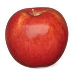Apple Holdings
