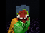 RobloxBeans