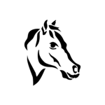 Riverside equestrian