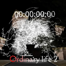Ordinary life 2 icon
