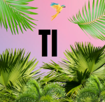 Tiikii Island!