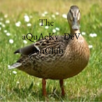 aQuAcKy_DeV