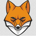 Outfox Studios