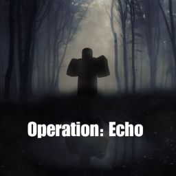 Operation echo