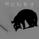 ʜᴏɴᴇʏ シ Group Thumbnail