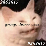 diorrr.xzxz