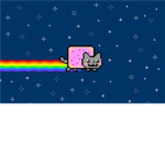 The Internet Memes