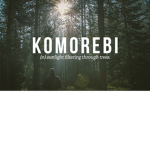 Komorebi Clothing Co.