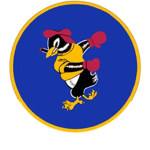 66th Fighter Wing 1940's