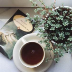 aesthetic sunshine cafe