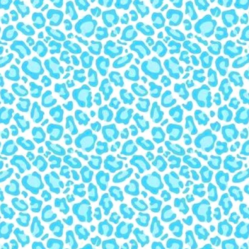  ˗ˏˋ ✈️  ꒱ ☆