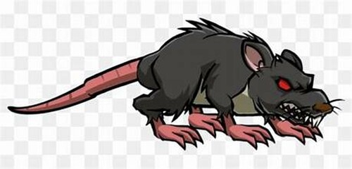 survive the rats the killers