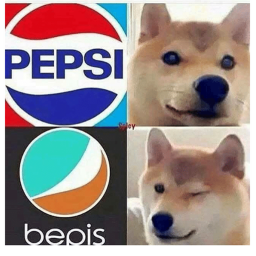 The Shiba Team Interview Center!