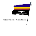 Fortele Nationale de Combatere
