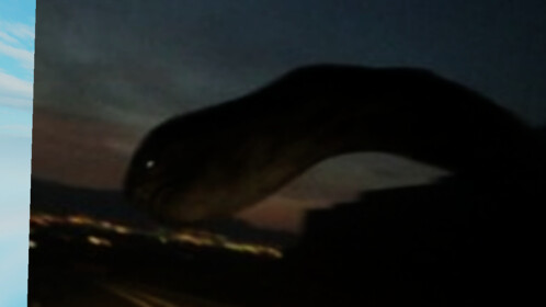 SCP - High way Worm
