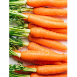 WANNA SEE MY CARROTS
