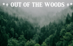 *+ Out Of The Woods +*