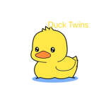 DuckyTwins