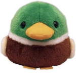 quack quack gang