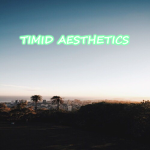 timid aesthetics
