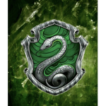 The Slytherin Official