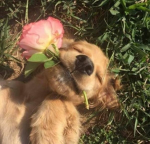 Flower :]]]