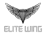 Roblox Elite Wing 【REW】
