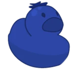 Blueberry Duck