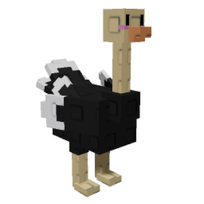 Ostrich