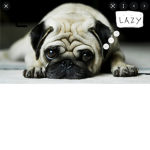Puppypoo