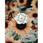sunflower Homestore <3
